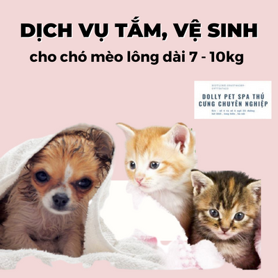 Voucher tắm vệ sinh trọn gói cho chó mèo lông dài 7 tới 10kg