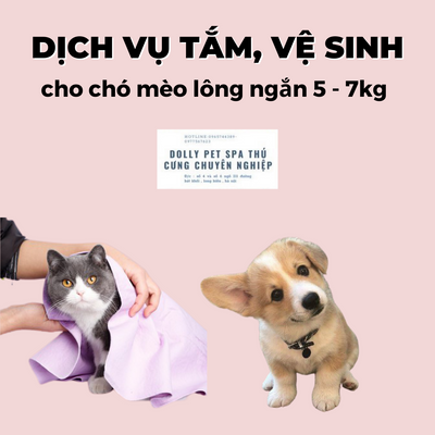 Voucher tắm vệ sinh trọn gói cho chó mèo lông ngắn 5 đến 7kg