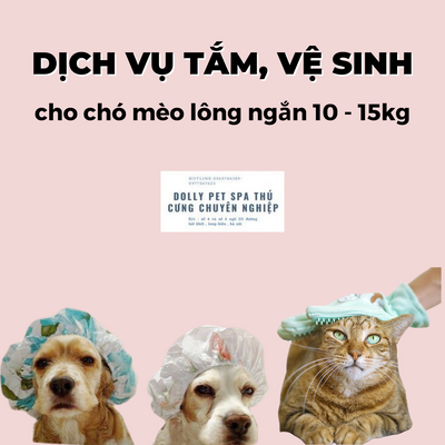 Voucher tắm, vệ sinh trọn gói chó mèo lông ngắn 10 đến 15kg
