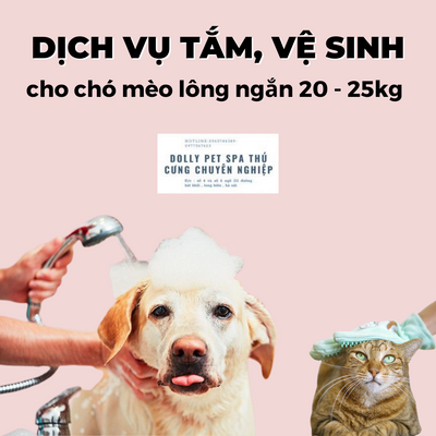 Voucher tắm, vệ sinh trọn gói chó mèo lông ngắn 20 đến 25kg