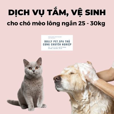 Voucher tắm và vệ sinh cho chó mèo lông ngắn 25kg đến 30kg