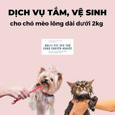 Voucher tắm và vệ sinh trọn gói cho chó mèo lông dài dưới 2kg