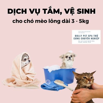 Voucher tắm vệ sinh trọn gói cho chó mèo lông dài 3kg đến 5kg
