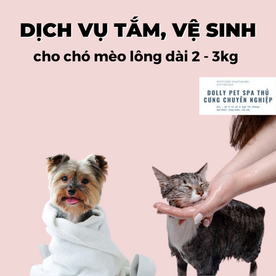 Voucher tắm vệ sinh trọn gói cho chó mèo lông dài từ 2kg đến 3kg