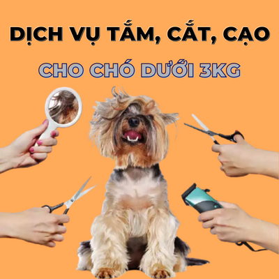 Voucher dịch vụ tắm cắt cạo lông cho chó dưới 3kg