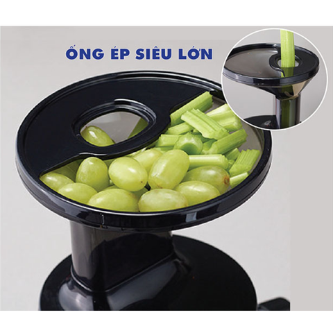 Máy Ép Chậm Hurom Diva S H100S - Thiết Kế Gọn Nhẹ, Ép Tối Đa Nước Trái Cây, Tiết Kiệm Điện, Dễ Dàng Vệ Sinh
