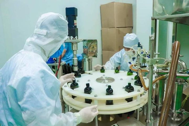 Bộ Dầu Gội Xả Thanh Mộc Hương Giảm Rụng Tóc và Gàu - Chiết Xuất Thiên Nhiên, Phục Hồi Tóc Hư Tổn, Dưỡng Ẩm Tóc Mềm Mượt