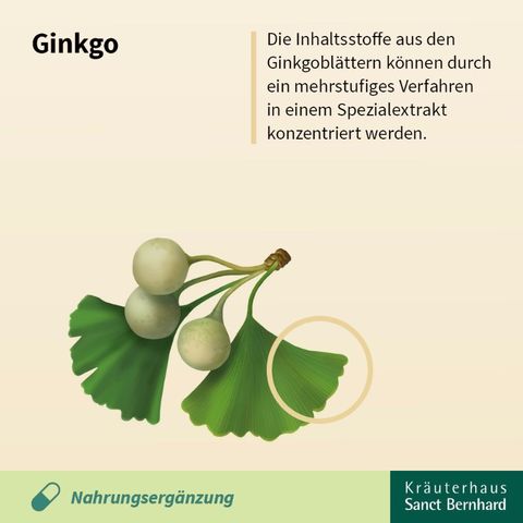 Viên uống bổ não Sanct Bernhard Ginkgo 75mg 240 viên - Hỗ trợ tăng cường trí nhớ và tuần hoàn não - Sản phẩm Đức