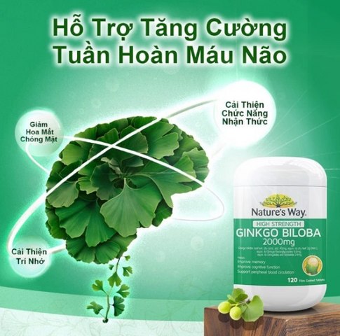 Viên bổ não Nature’s Way Ginkgo Biloba 2000mg - Sản phẩm hỗ trợ trí nhớ, tăng cường tuần hoàn não, 120 viên của Úc