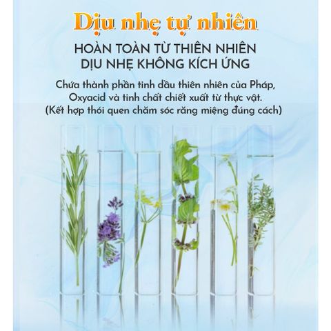 Kem Đánh Răng Than Tre Anriea 200ml - Trắng Răng, Làm Sạch Sâu, Hương Cam Tươi Mát, An Toàn Từ Thiên Nhiên