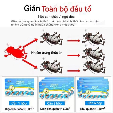 Viên Diệt Gián Sinh Học Housheng - Hiệu Quả Tối Đa, Diệt Tất Cả Các Loại Gián, Hộp 8 Viên An Toàn, Dễ Dùng