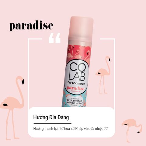Dầu Gội Khô Colab Paradise 200ml - Tóc Sạch Bồng Bềnh Mềm Mượt Chỉ Sau 5 Giây, Dưỡng Tóc Tự Nhiên, Thân Thiện Cho Tóc Nhuộm