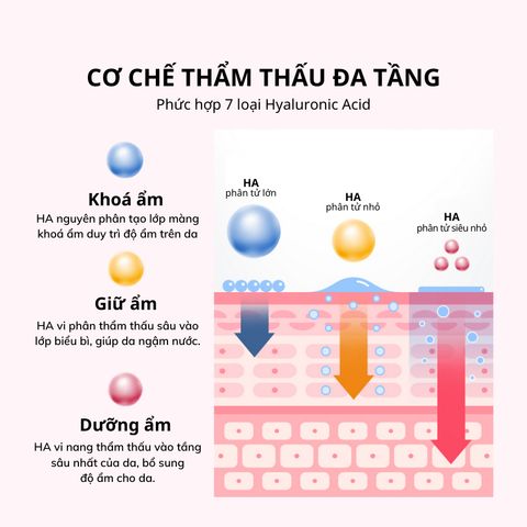 Combo 10 Hộp Mặt Nạ Thạch Collagen Hàn Quốc IMU - Dưỡng Ẩm, Chống Lão Hóa, Làm Sáng Da - Mặt Nạ Hydrogel Chất Lượng Cao
