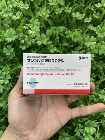 Hộp 10 chai Nhỏ Mắt Sancoba