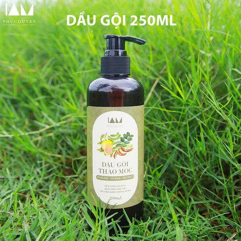 Dầu Gội Bồ Kết Natural Health Ngăn Rụng Tóc & Gàu - Kích Thích Mọc Tóc Óng Ả, Mềm Mượt 500ml