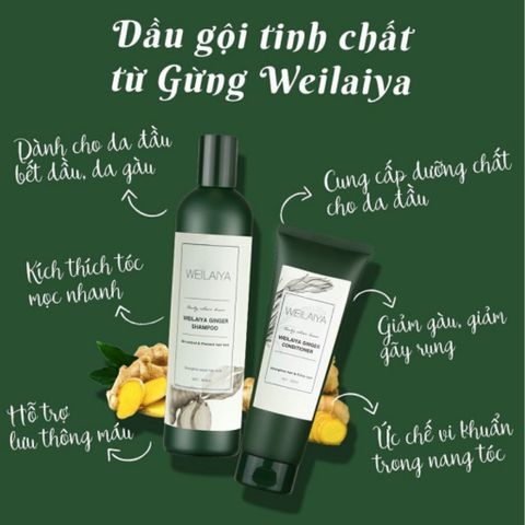 Dầu Gội Gừng Weilaiya - Bộ Gội Xả Kích Mọc Tóc Cho Tóc Dầu & Khô, Giảm Gãy Rụng, Hương Gừng & Vanilla Tự Nhiên