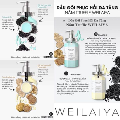 Bộ Dầu Gội Xả Phục Hồi Đa Tầng Nấm Truffle Weilaiya 450ml - Chăm Sóc Tóc Hư Tổn, Dưỡng ẩm Và Chống Oxy Hóa