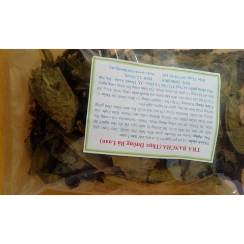 Trà Bancha Shan Tuyết 100g - Trà Ba Năm Từ Suối Giàng, Thực Dưỡng Bà Loan, Tăng Cường Sức Khỏe, Hỗ Trợ Tiêu Hóa, Ngủ Ngon