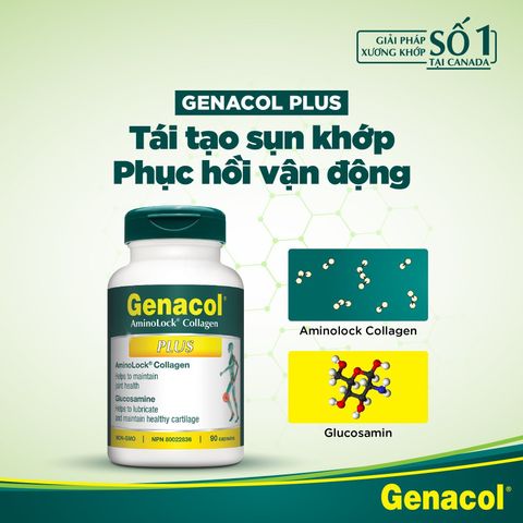 Genacol Plus - Bổ Sung Collagen Glucosamine Hỗ Trợ Tái Tạo Sụn Khớp, Giảm Đau Khớp, Thương Hiệu Canada Uy Tín