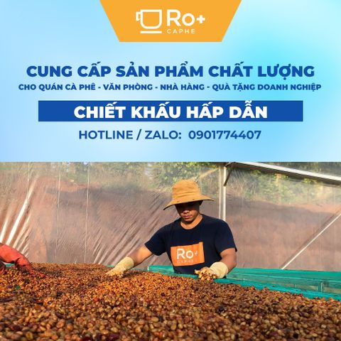Túi Thơm Cà Phê ROPLUS - Hạt Mộc Nguyên Chất Khử Mùi Xe Ô Tô và Phòng Ngủ - Hương Thơm Tự Nhiên Dịu Êm