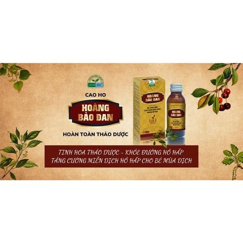 Cao ho Hoàng Bảo Đan 100ml - Hỗ trợ giảm ho, long đờm, bổ phế cho trẻ em và gia đình, tăng cường sức khỏe đường hô hấp