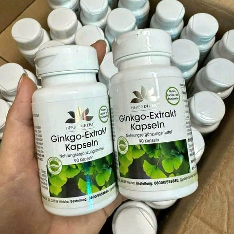 Bổ não thuần chay Herba Direkt Ginkgo-Extrakt 100mg Đức 90 viên