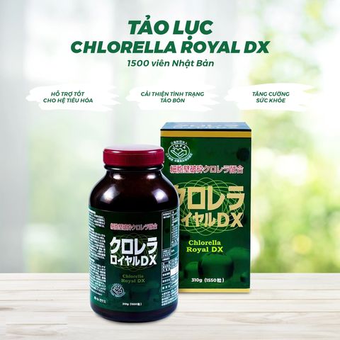 Tảo lục Chlorella Royal DX Japan 1550 viên