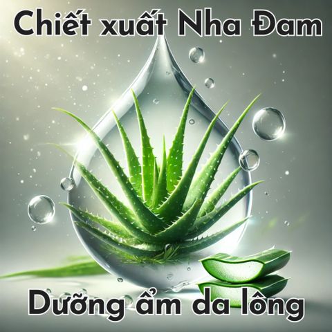 Sữa Tắm FAY Bồ Kết 300ml cho Chó Mèo - Dưỡng Lông Mềm Mại, Ngăn Rụng Lông, Chiết Xuất Nha Đam Tự Nhiên