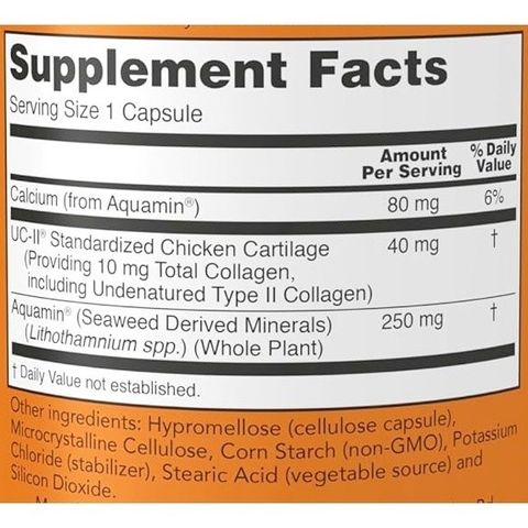 Viên uống bổ sung Collagen UC-II Now Foods 60/120 viên - Hỗ trợ khớp, tăng cường miễn dịch, hàng Mỹ