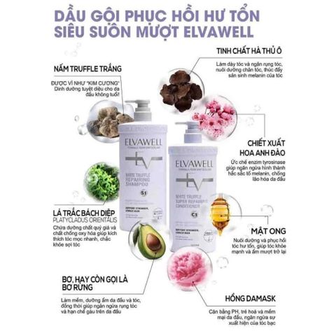 Bộ Dầu Gội Xả Nấm Truffle Elvawell 1000ml - Phục Hồi Tóc Hư Tổn, Giảm Gàu, Kiểm Soát Dầu Bết, Dưỡng Mềm Mượt