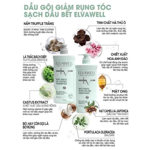 Bộ Dầu Gội Xả Nấm Truffle Elvawell 1000ml - Phục Hồi Tóc Hư Tổn, Giảm Gàu, Kiểm Soát Dầu Bết, Dưỡng Mềm Mượt