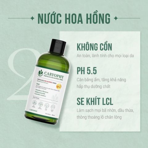 Nước Hoa Hồng Caryophy Portulaca Toner 300ml - Giảm Mụn, Làm Dịu Da, Cân Bằng pH - Dưỡng Da Từ Thiên Nhiên Hàn Quốc