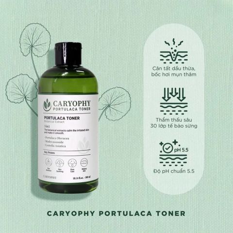 Nước Hoa Hồng Caryophy Portulaca Toner 300ml - Giảm Mụn, Làm Dịu Da, Cân Bằng pH - Dưỡng Da Từ Thiên Nhiên Hàn Quốc