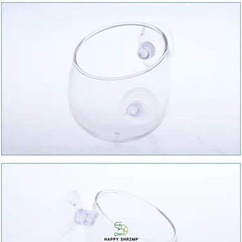 Cốc Thủy Tinh Trồng Cây - Cốc Treo Hồ Cá Thủy Sinh Sang Trọng, Thích Hợp Trồng Cây Ráy và Trầu 09