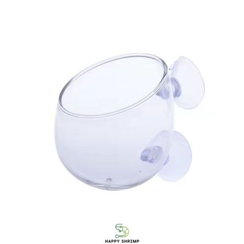 Cốc Thủy Tinh Trồng Cây - Cốc Treo Hồ Cá Thủy Sinh Sang Trọng, Thích Hợp Trồng Cây Ráy và Trầu 09