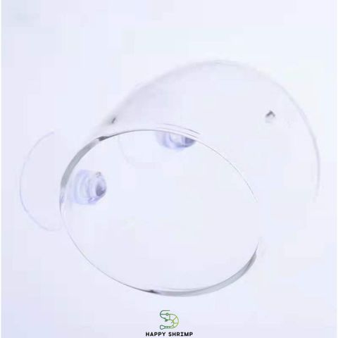 Cốc Thủy Tinh Trồng Cây - Cốc Treo Hồ Cá Thủy Sinh Sang Trọng, Thích Hợp Trồng Cây Ráy và Trầu 09