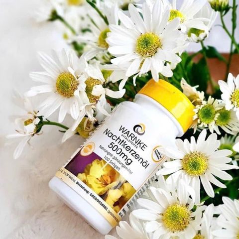 Tinh Dầu Hoa Anh Thảo Warnke Nachtkerzenol 500mg - Cân Bằng Nội Tiết Tố, Làm Đẹp Da, Ngừa Lão Hóa, Viên Uống Cho Trẻ Em và Người Lớn