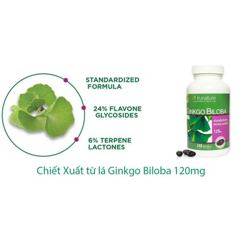 Viên Bổ Não Ginkgo Biloba Nature's Truth 120mg - Tăng Cường Trí Nhớ & Cải Thiện Chức Năng Não, 340 Viên Chính Hãng USA