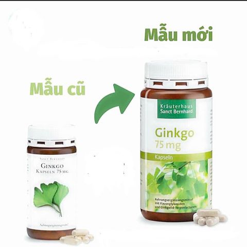 Viên Uống Bổ Não Ginkgo 75mg Sanct Bernhard 240 Viên – Hỗ Trợ Tuần Hoàn Não, Giảm Đau Đầu, Tăng Cường Trí Nhớ cho Người Cao Tuổi