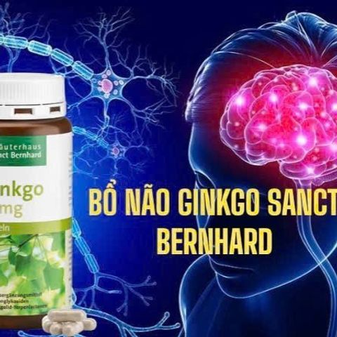 Viên Uống Bổ Não Ginkgo 75mg Sanct Bernhard 240 Viên – Hỗ Trợ Tuần Hoàn Não, Giảm Đau Đầu, Tăng Cường Trí Nhớ cho Người Cao Tuổi