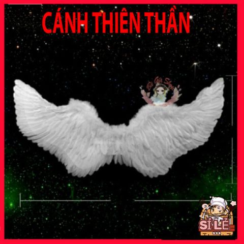 Cánh Thiên Thần Trắng/Đen - Trang Trí Chụp Ảnh Lông Vũ Mềm Mại Cho Không Gian Nghệ Thuật Đẹp Mắt