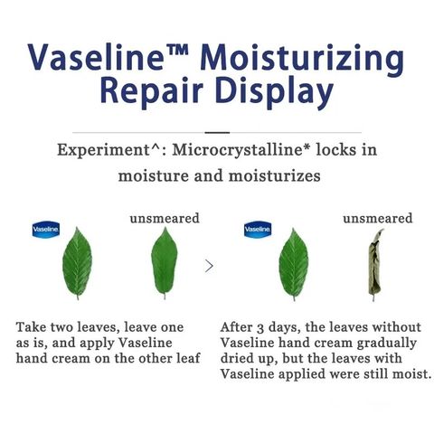Kem Dưỡng Da Tay Vaseline 60g – Dưỡng Ẩm, Làm Trắng Da, Giúp Da Mịn Màng và Không Nứt Nẻ, Phù Hợp Mọi Loại Da