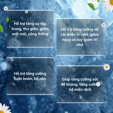 MindEnergy Max - Viên Uống Tăng Cường Trí Nhớ, Hỗ Trợ Lưu Thông Máu Não, Giảm Căng Thẳng, Tinh Thần Sảng Khoái