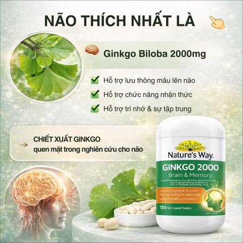 Viên Uống Bổ Não Nature's Way Ginkgo 2000 Úc - Tăng Cường Trí Nhớ và Tập Trung, Hỗ Trợ Tuần Hoàn Não Khỏe Mạnh