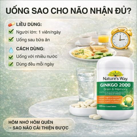 Viên Uống Bổ Não Nature's Way Ginkgo 2000 Úc - Tăng Cường Trí Nhớ và Tập Trung, Hỗ Trợ Tuần Hoàn Não Khỏe Mạnh