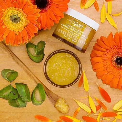 Mặt Nạ Dưỡng Da Hoa Cúc Kiehl's Calendula & Aloe 100ml - Giúp Cung Cấp Độ Ẩm, Làm Dịu Da Nhạy Cảm, Chính Hãng