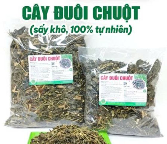 Trà Thảo Mộc Đuôi Chuột Hỗ Trợ Tim Mạch, Đường Huyết, Dạ Dày - Khô Sạch Thơm 500g