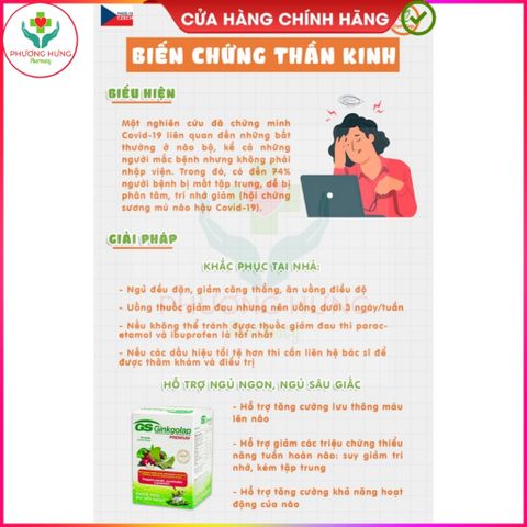 Viên Uống Bổ Não GS Ginkgolap - Tăng Cường Lưu Thông Máu, Giảm Đau Đầu và Mệt Mỏi - Hộp 30 Viên Từ Thiên Nhiên