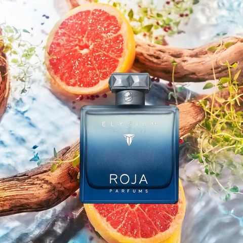 Nước Hoa Nam Roja Parfums Elysium Eau Intense 100ml - Hương Thơm Quyến Rũ Từ Chanh, Bưởi, Gỗ Đàn Hương - Sản Phẩm Cao Cấp Chính Hãng
