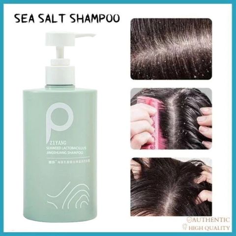 Dầu gội đầu loại bỏ mạt mụn sảng khoái kiềm dầu 500ml cải thiện tóc hư tổn dầu gội giảm ngứa/Shampoo